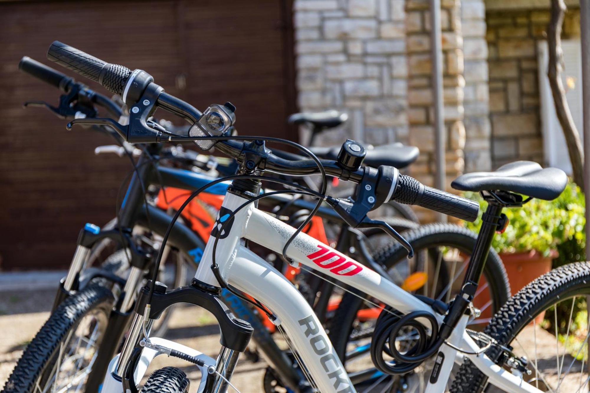 Apartment Tesic Close To The Sea With Shared 4Xbicycles Fažana Екстериор снимка