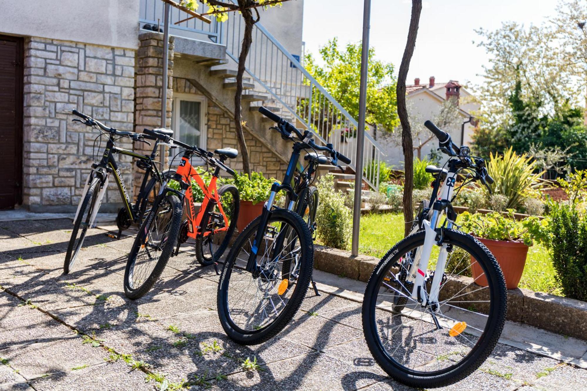 Apartment Tesic Close To The Sea With Shared 4Xbicycles Fažana Екстериор снимка